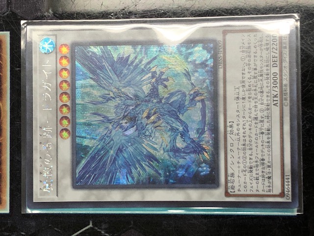 アダマシア　ドラガイト