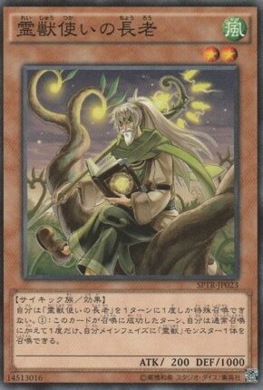 遊戯王 No.991 霊獣 デッキ